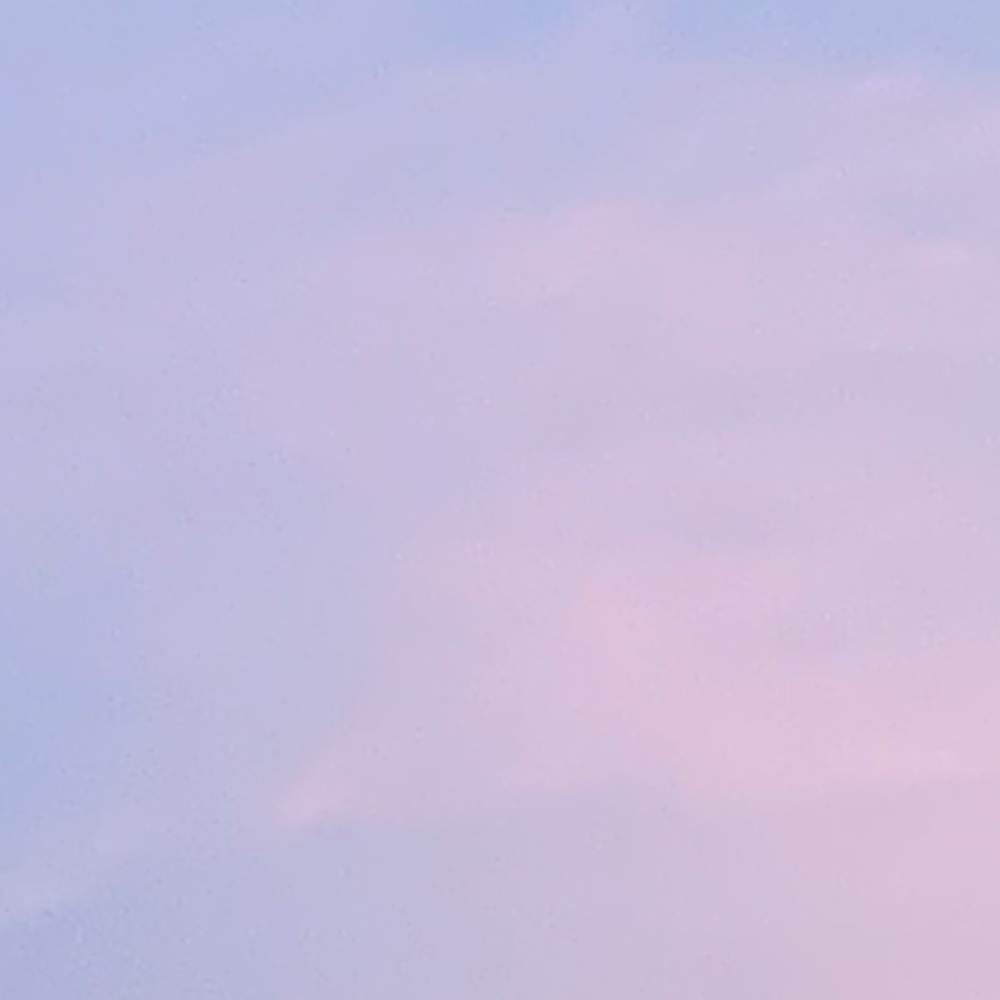 Meet your Posher, Bonnie